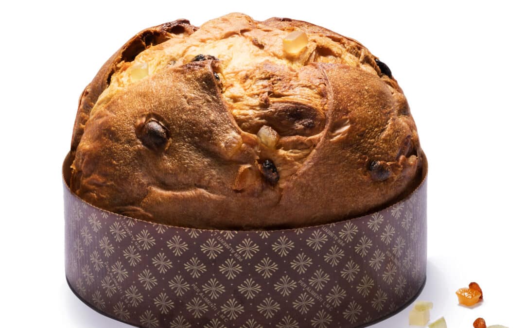 Panettone Ricetta Classica: Il Gusto Autentico della Tradizione Milanese